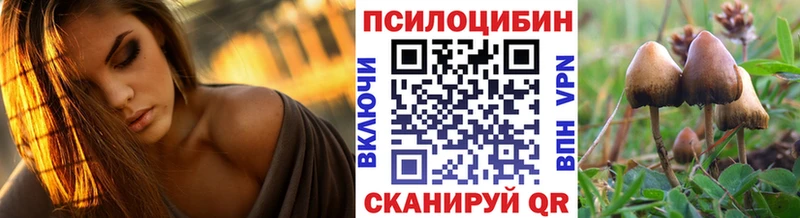Псилоцибиновые грибы прущие грибы Каневская
